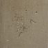 20111001180923-1_unt