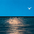 20111004040126-lichtenstein_image_cc_final_web_600