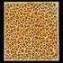 20111004074031-schade_pettijohn_zoe