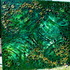 20111004095737-pict0089