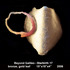 20111004111424-starbirth-17_