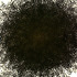 20111004131503-kirkman_amyx_-_10000_rolls