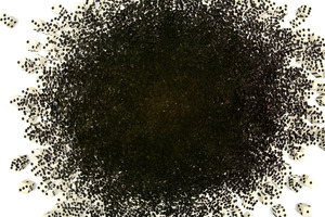 20111004131503-kirkman_amyx_-_10000_rolls