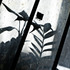 20111004145812-img_4430