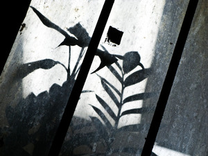 20111004145812-img_4430