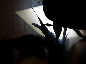 20111004150115-img_1023