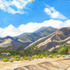 20111004153525-bell0306111120smoketreeafternoon