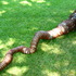 20111005044218-img_5794
