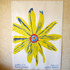 20111005195632-sunflower
