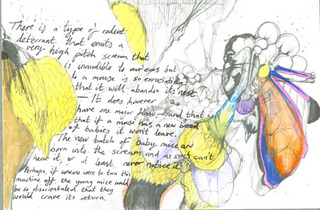 ,Anna Genger