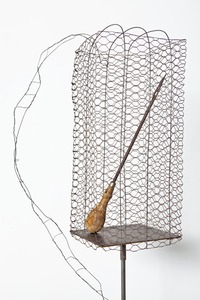 20111006110940-mlm_cage_3_lo