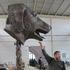 20111006120507-aww_zodiachead_dog
