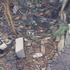 20111007071211-the_view_crop