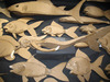 20111007232548-687-eventpage-underthesea_500