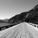 20111009123231-going_to_strathcona__300_