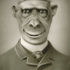Tl_maxotheultrachimp