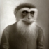 Tlo_martingibbon