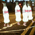 20111010024743-con_leche_still_04_ee85f58702