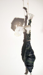 20111010091734-2