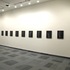 20111010102045-01_staple_heads_install