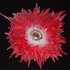 20111010110514-red_flower_giclee