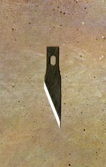 ,Erik Frydenborg