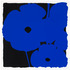 20111011115842-sultan_poppies__jun_6__blue_