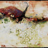 20111011133930-christiansend_untitled_small