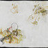 20111011134144-christiansend_bulb2011_small_