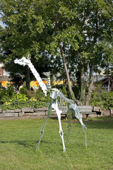 Giraffe,Nicolas Touron