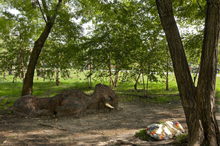 Disenchanted Forest, August 2011,Roxanne Jackson