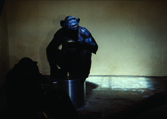 20111013013803-a_sopa1_visuel_expobd