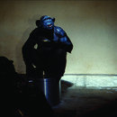 20111013013803-a_sopa1_visuel_expobd