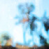 20111013144300-rex_bruce109