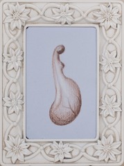 ,Renée A. Fox