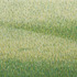 20111015093340-grassland-32_2011_11x30-web