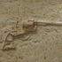 20111015134015-alan_magee_little_wars_2344_385