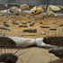 20111015165000-nations_in_gong_studio_p4