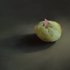 20111016060554-potato_with_triangle_2011