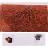 20111017094739-klement_pieta