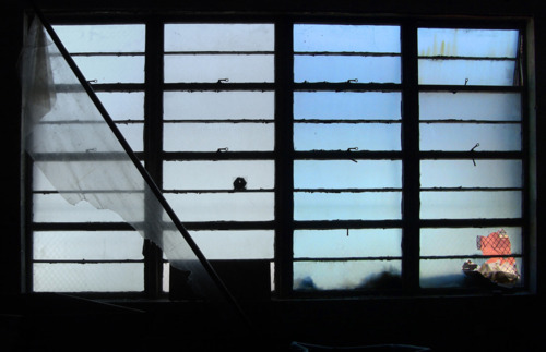 20111017184104-tumblr_lrqf7f3nlb1r3uh5no1_500__1_