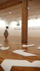 1223570459_the_image