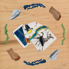 Wild Card ,Donna June Katz