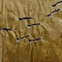 20111020035618-sardine_big1