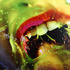 20111020081217-minter_pinkgreencaviar_l