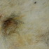 20111020100941-trace__2__36x24