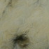 20111020101321-trace__3__40x28