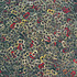 20111020154249-can_you_copy