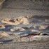 20111021090817-lr_afternightwb