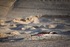 20111021090817-lr_afternightwb